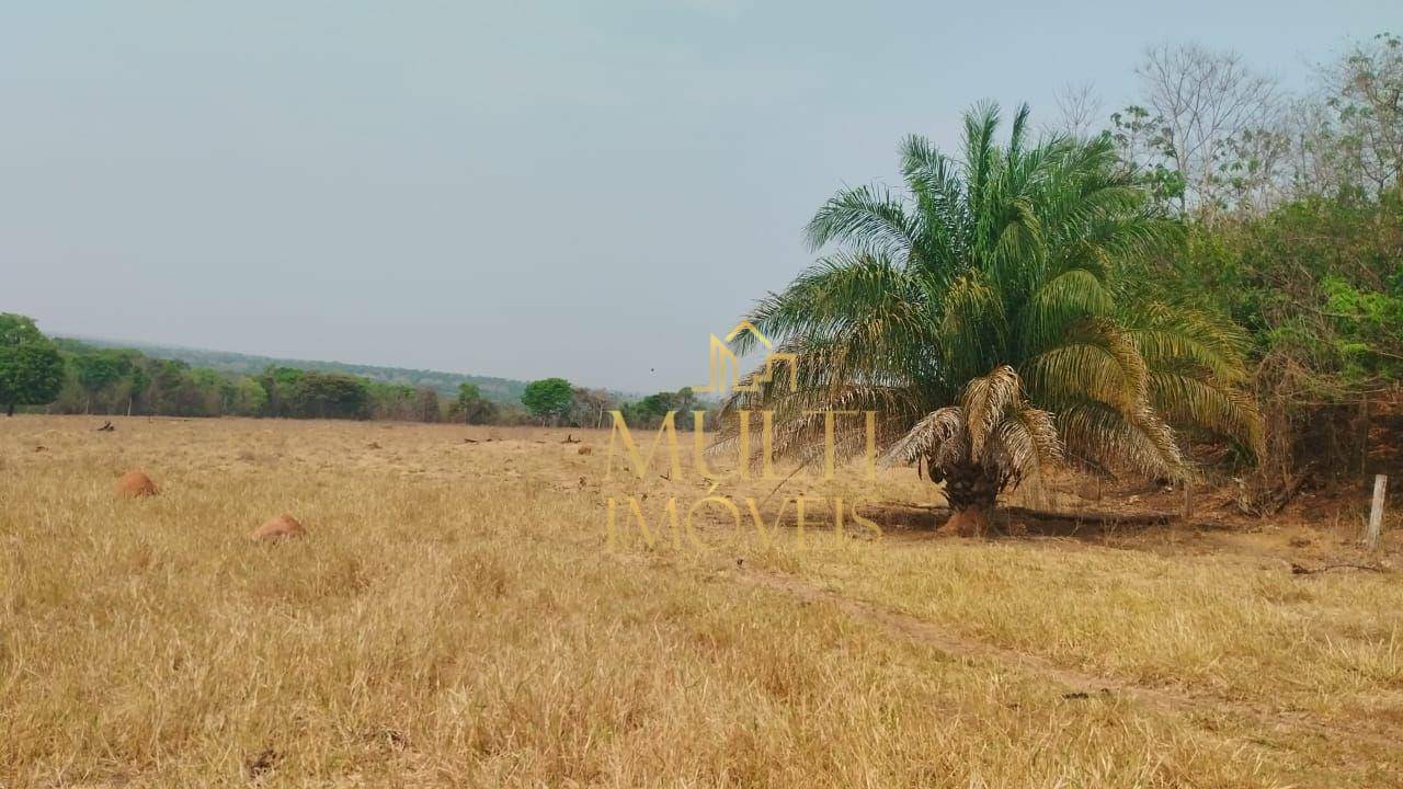 Fazenda à venda com 3 quartos, 3930000M2 - Foto 6