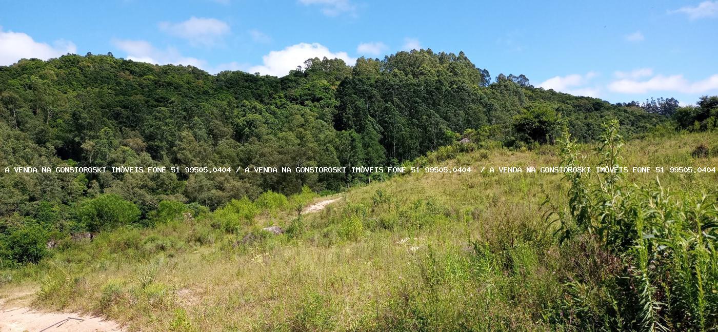 Chácara à venda com 2 quartos, 600000m² - Foto 30