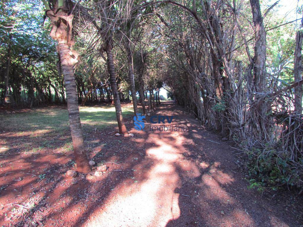Chácara à venda com 4 quartos, 163m² - Foto 3