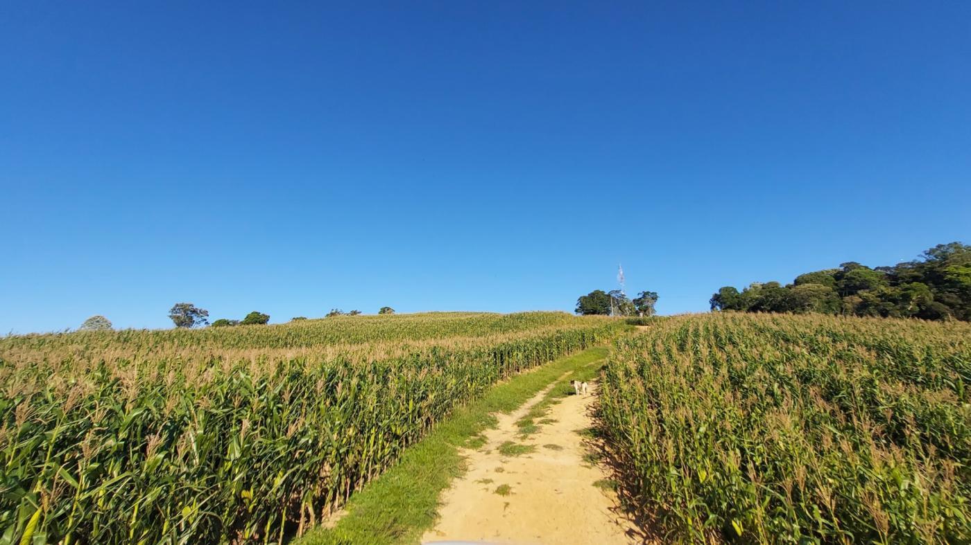 Fazenda à venda com 2 quartos, 925500m² - Foto 19