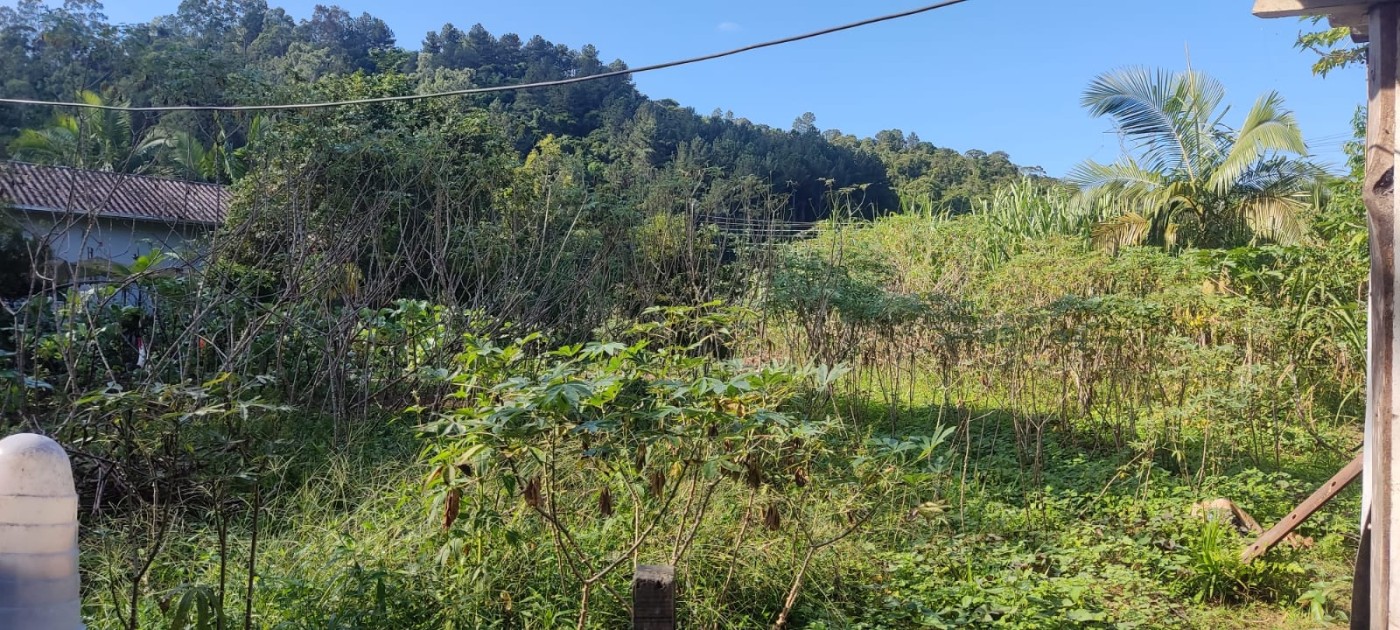 Chácara à venda com 2 quartos, 5000m² - Foto 8