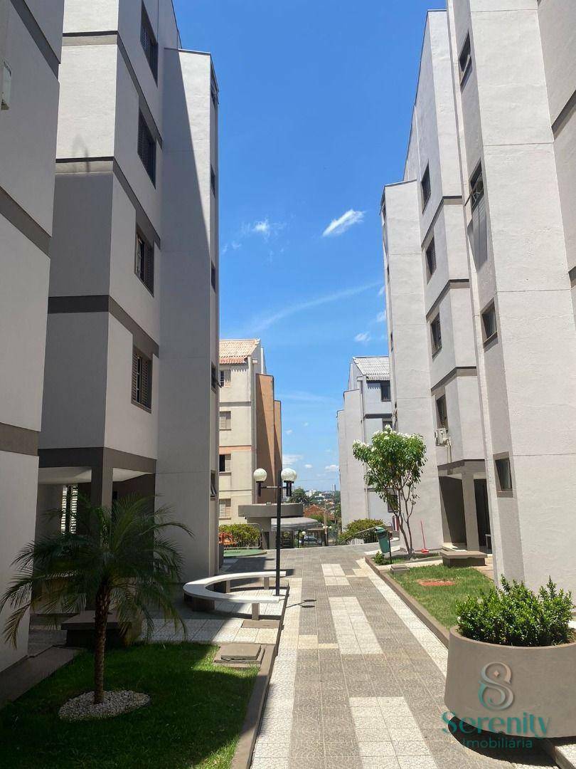 Apartamento à venda e aluguel com 3 quartos, 113m² - Foto 14