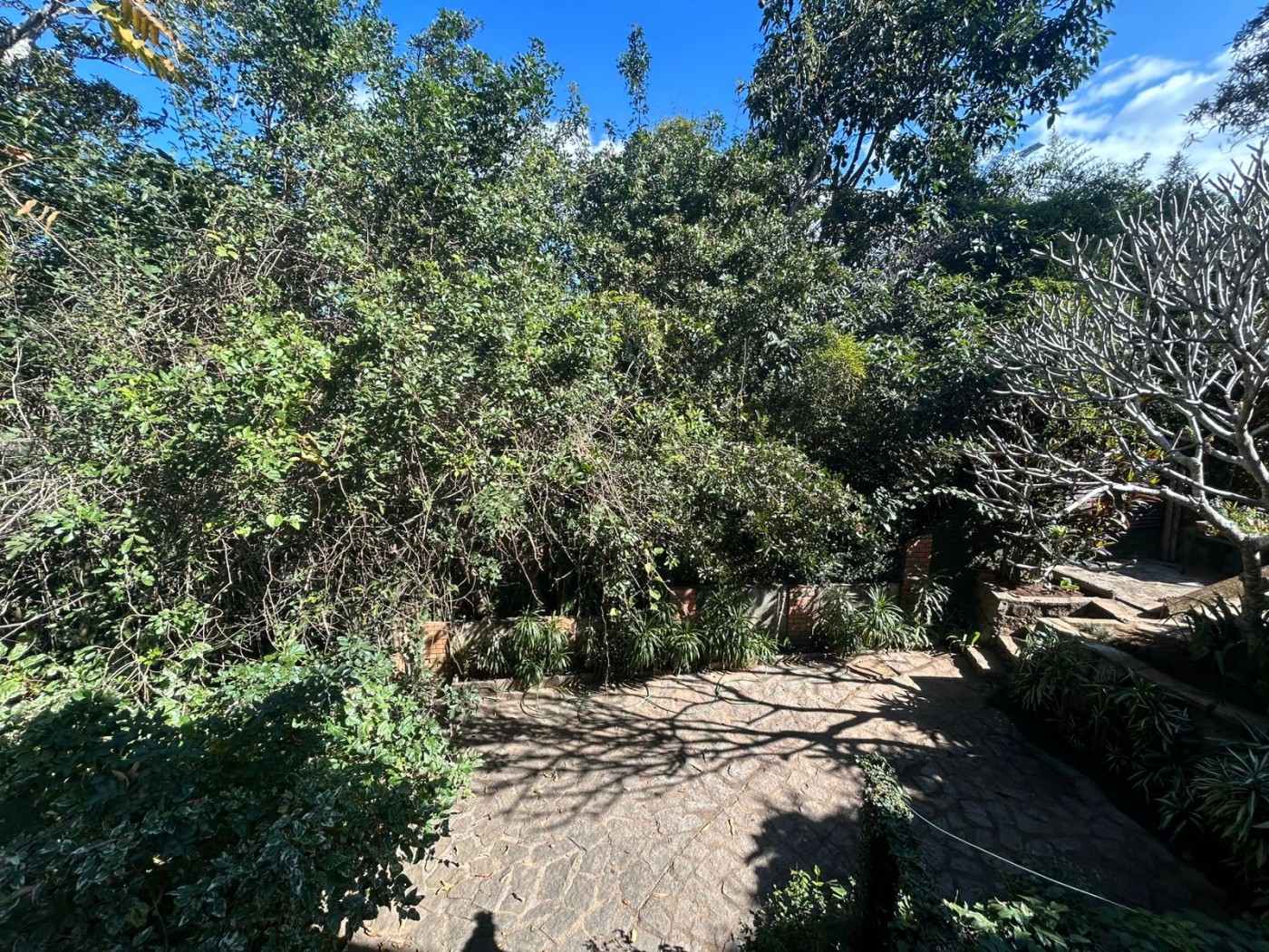 Casa para alugar com 4 quartos, 300m² - Foto 14