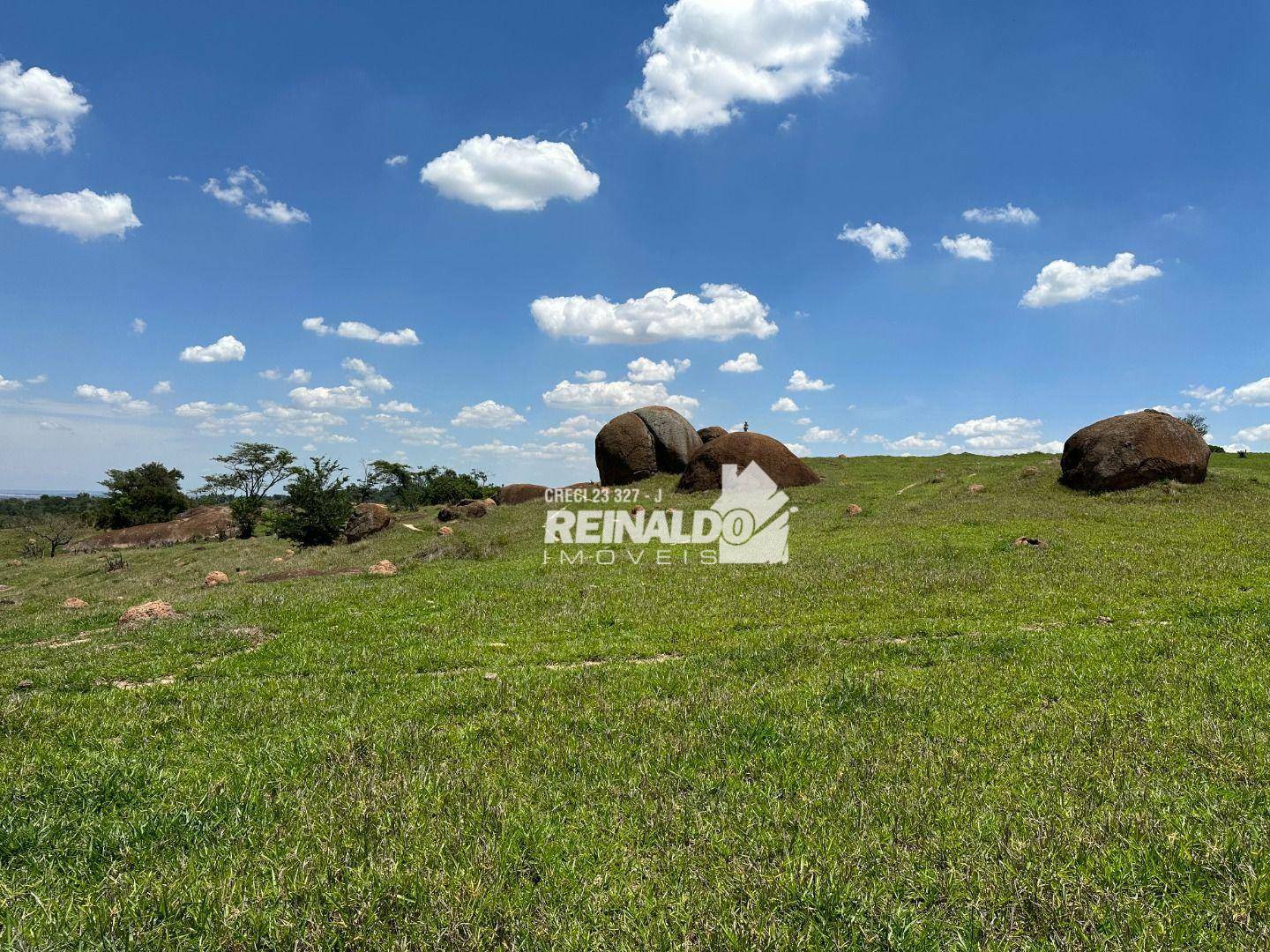 Fazenda à venda com 5 quartos, 3438m² - Foto 81