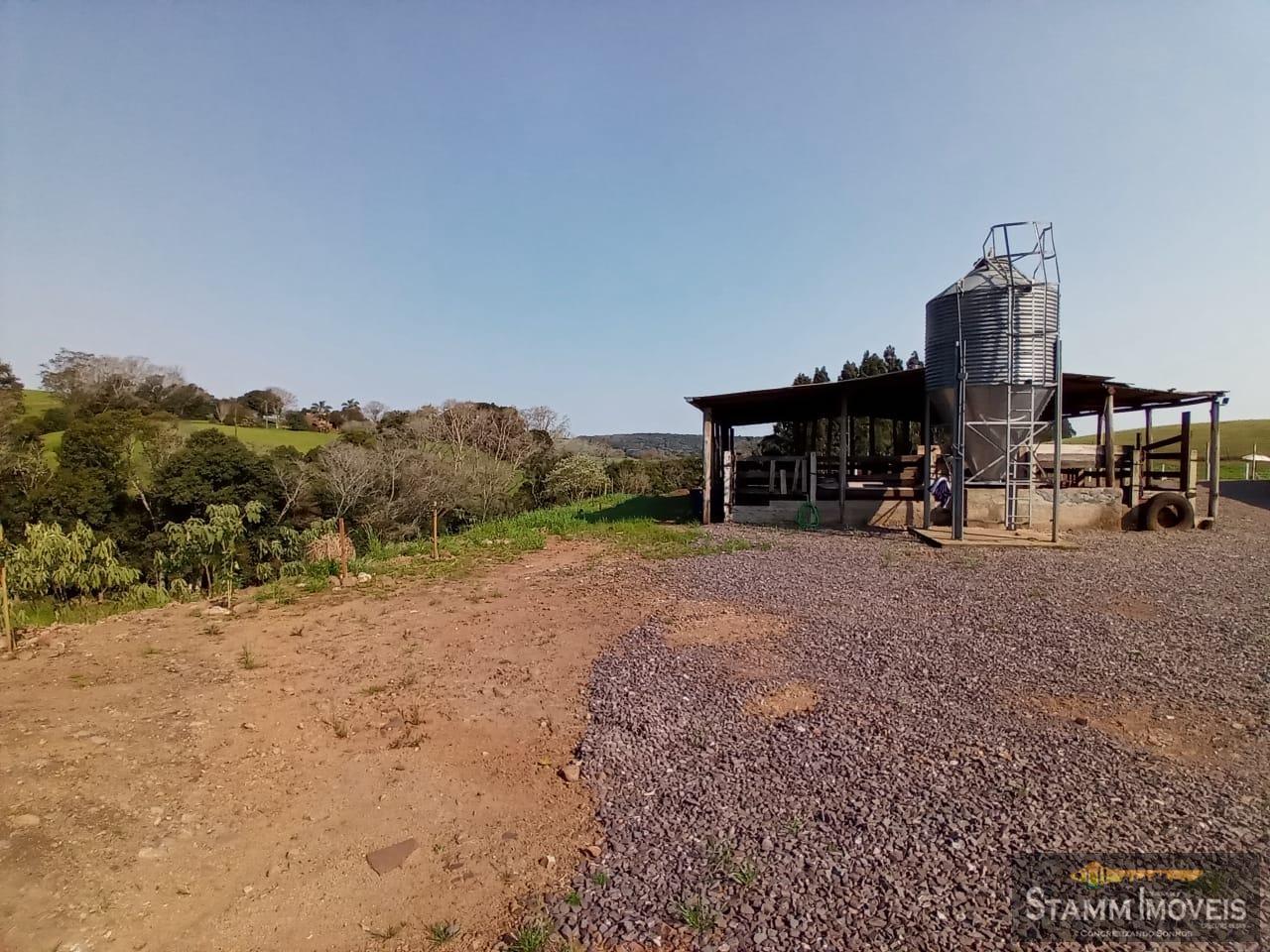 Fazenda à venda com 4 quartos, 3m² - Foto 13