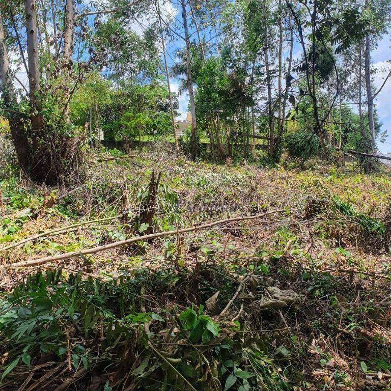 Loteamento e Condomínio à venda, 1280M2 - Foto 8