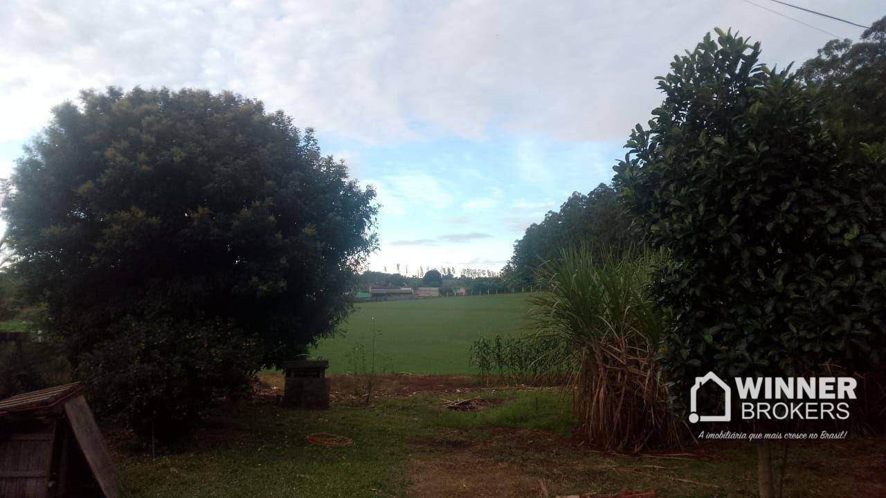 Chácara, 4 hectares - Foto 7