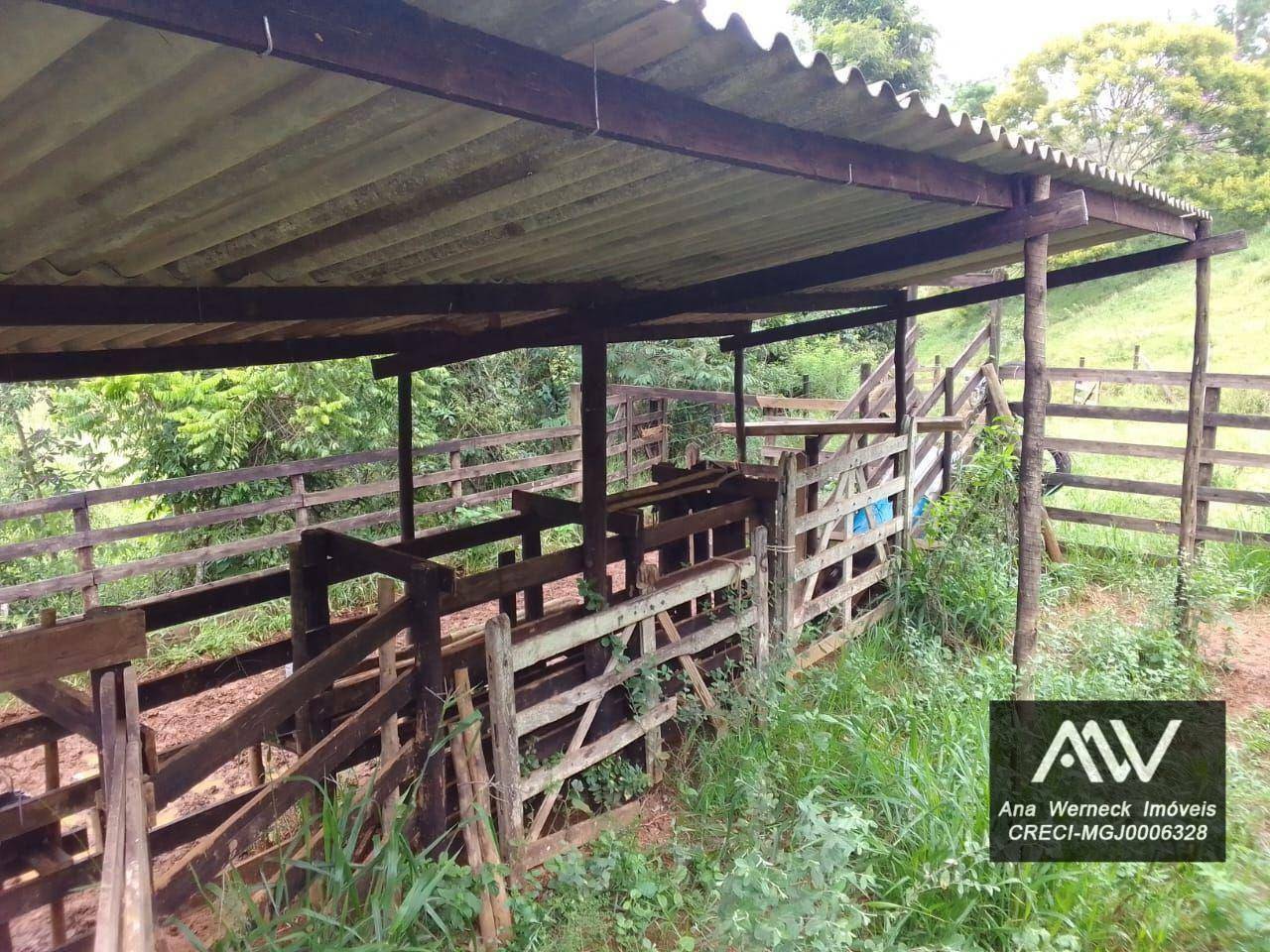 Chácara à venda com 1 quarto, 150000M2 - Foto 2