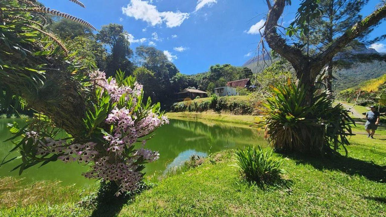 Fazenda à venda com 5 quartos, 500m² - Foto 36