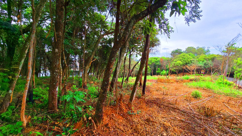 Terreno à venda, 2855m² - Foto 5