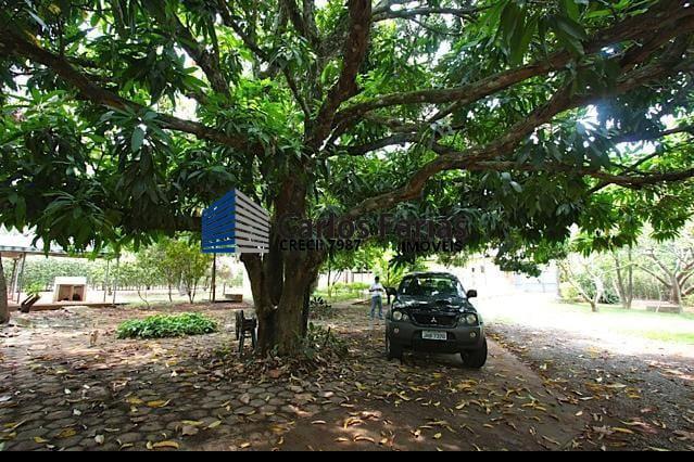 Terreno à venda com 3 quartos, 300m² - Foto 14