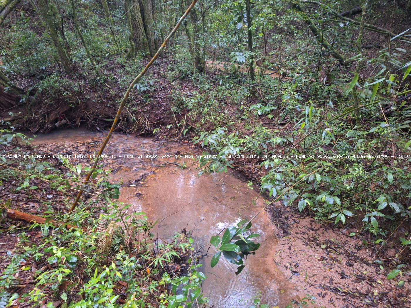 Fazenda à venda, 10000m² - Foto 14