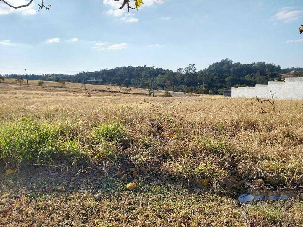 Loteamento e Condomínio à venda, 1000M2 - Foto 8