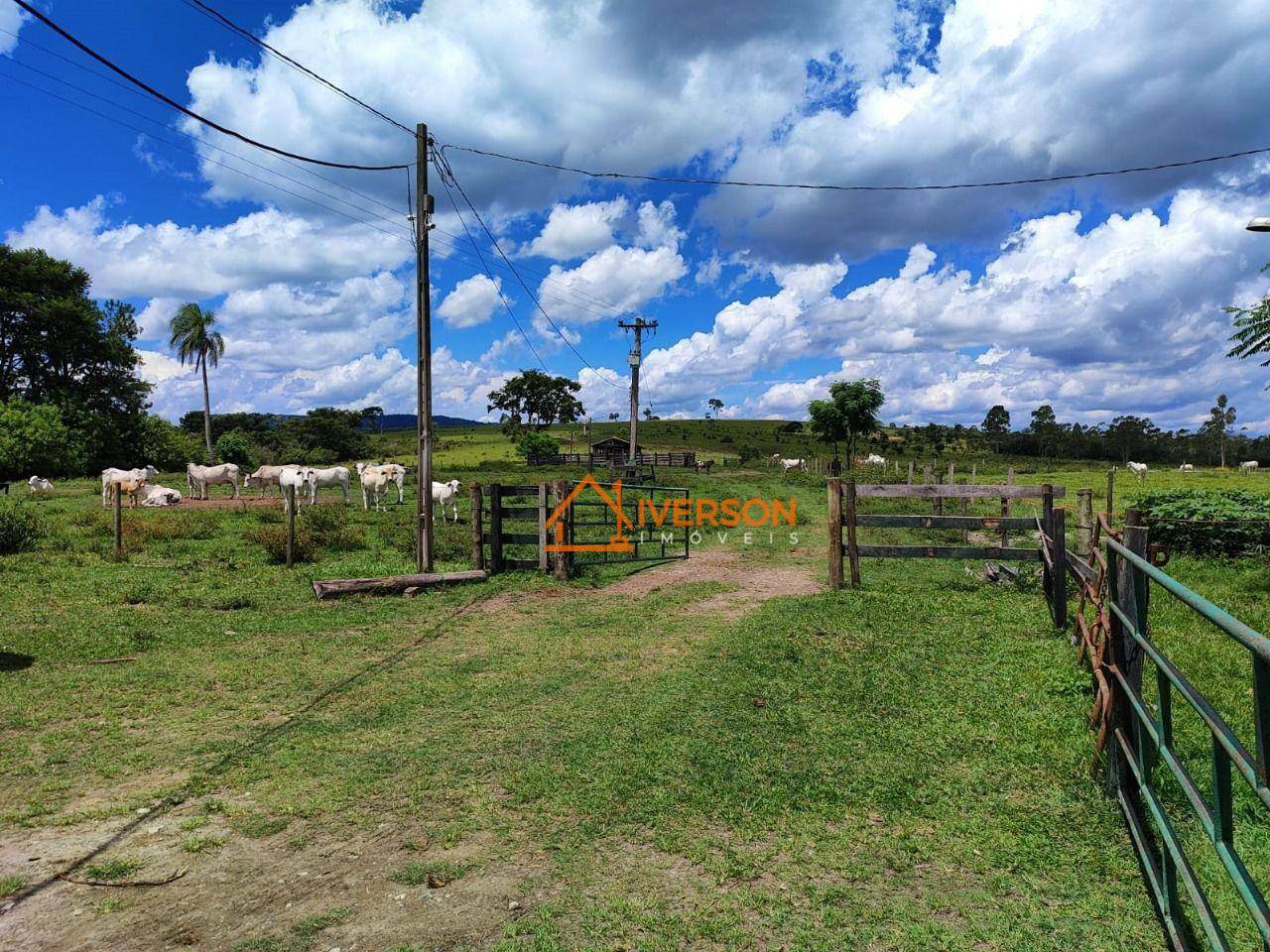 Fazenda à venda com 6 quartos, 1000m² - Foto 13