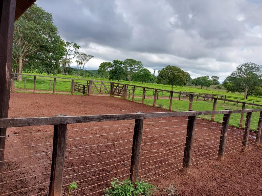 Fazenda-Sítio-Chácara, 2575 hectares - Foto 2