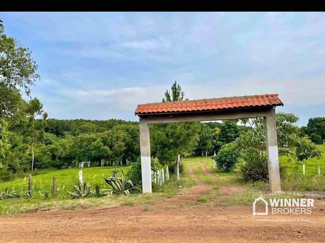 Chácara, 4 quartos, 4 hectares - Foto 1