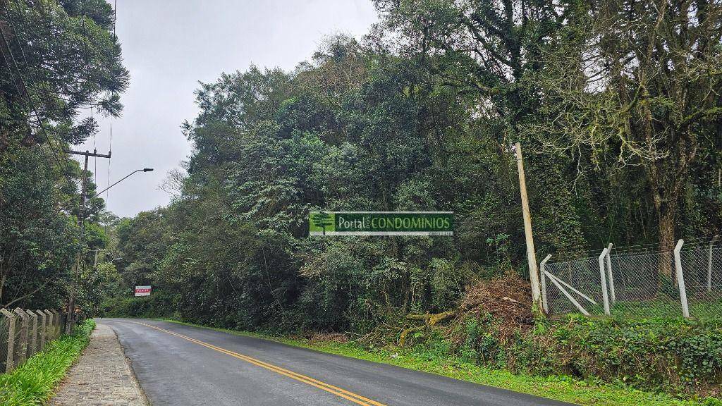 Terreno, 7 hectares - Foto 4