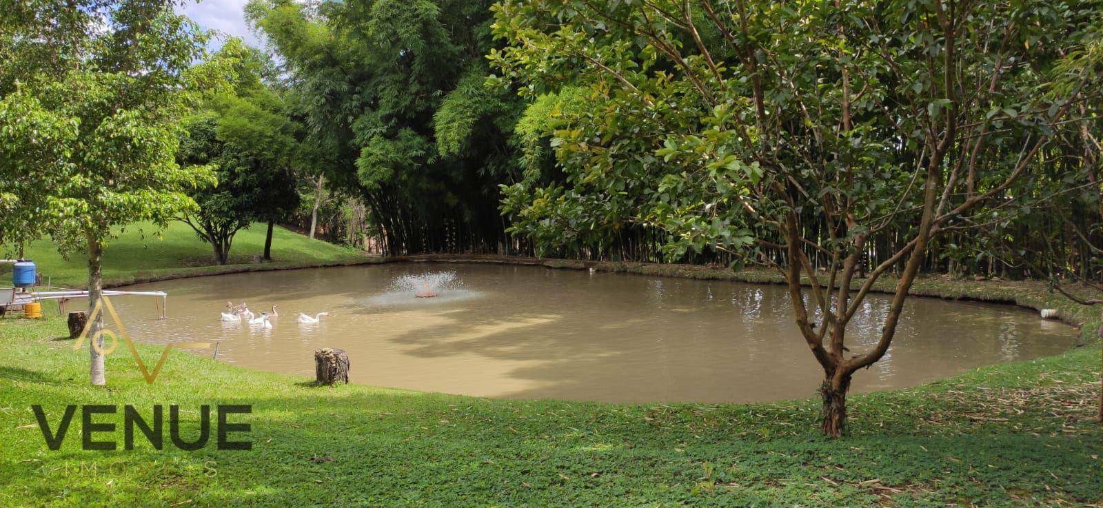 Fazenda à venda com 11 quartos, 200m² - Foto 24