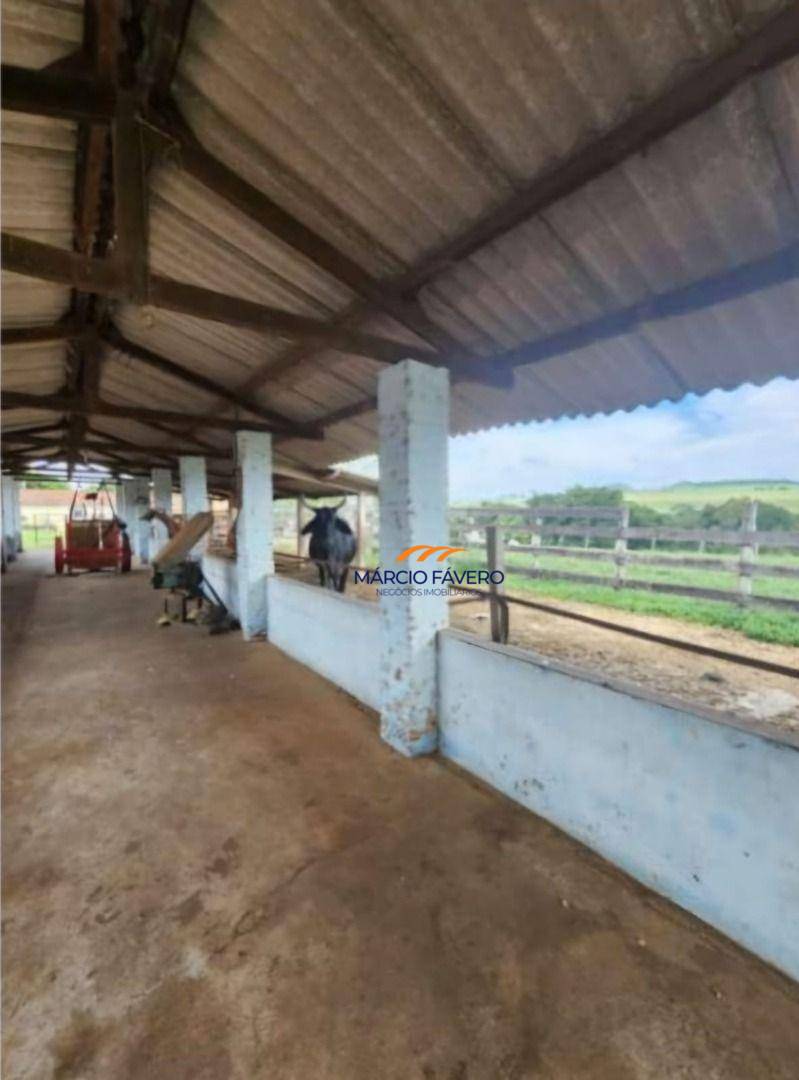 Fazenda, 109 hectares - Foto 6