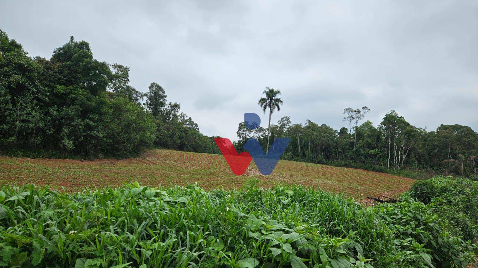 Fazenda à venda com 3 quartos, 1694000M2 - Foto 23