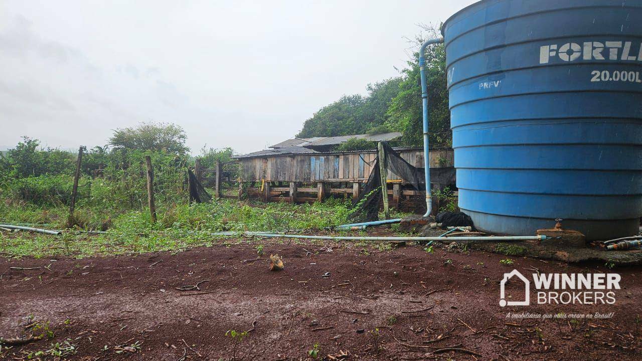 Sítio à venda com 3 quartos, 411400M2 - Foto 9