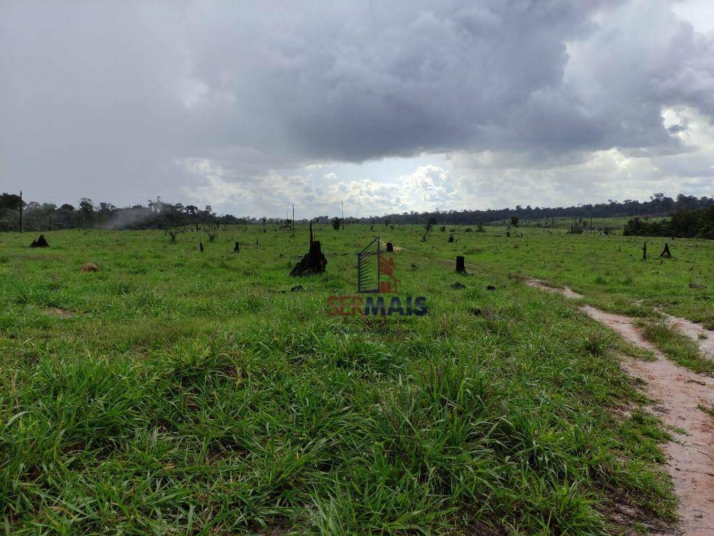 Fazenda à venda com 1 quarto, 2541000M2 - Foto 18