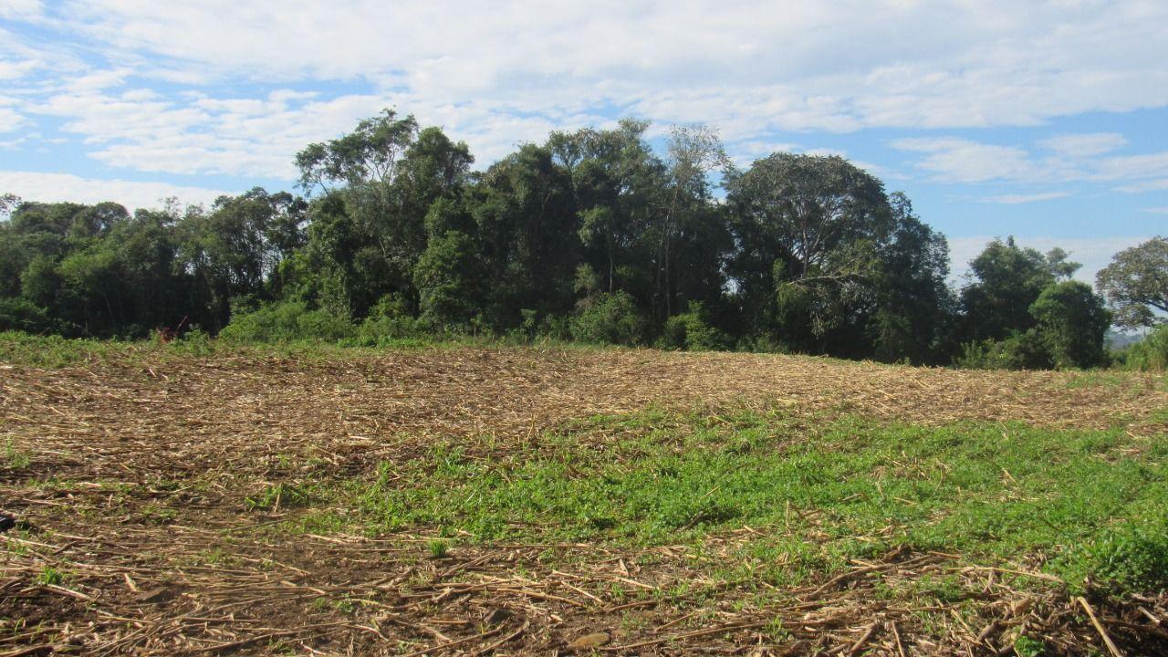 Loteamento e Condomínio à venda, 199000m² - Foto 5