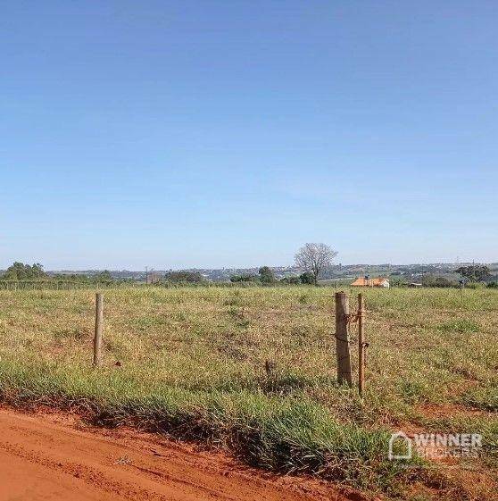 Chácara à venda com 1 quarto, 10000M2 - Foto 4