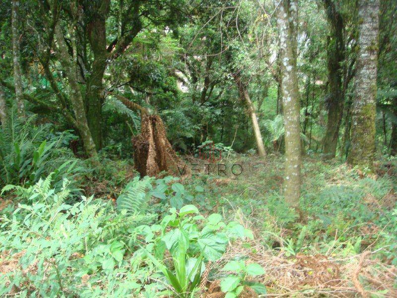 Terreno à venda, 480M2 - Foto 3