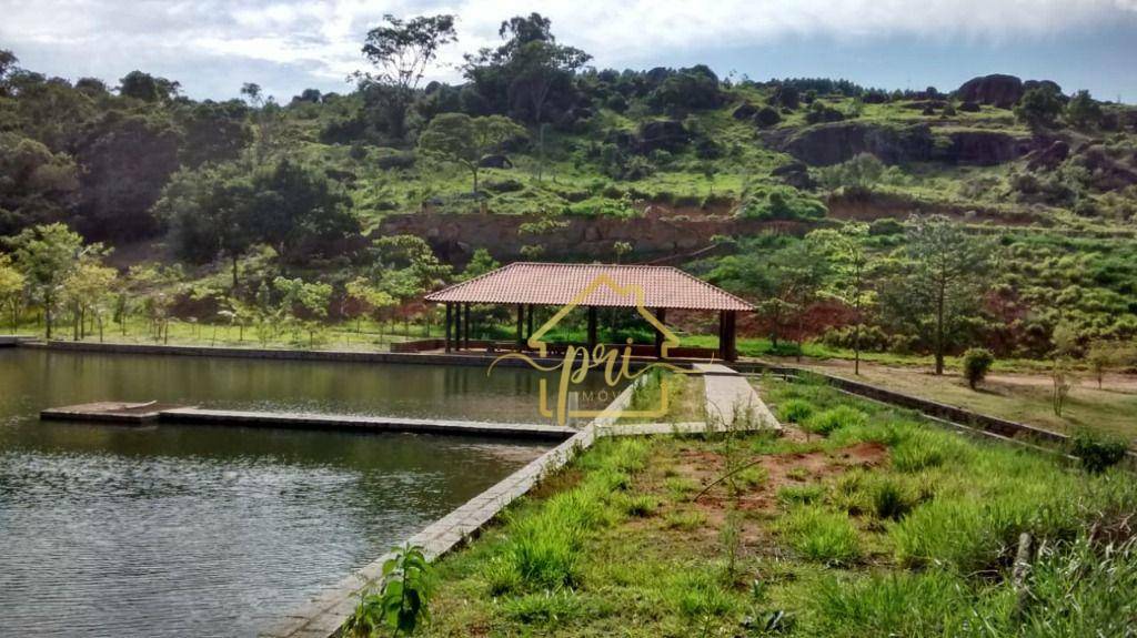 Fazenda à venda com 5 quartos, 1000m² - Foto 16