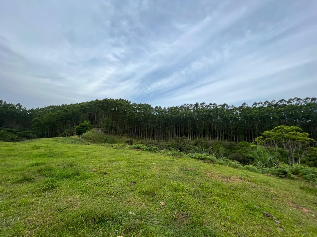 Fazenda à venda, 660000m² - Foto 4