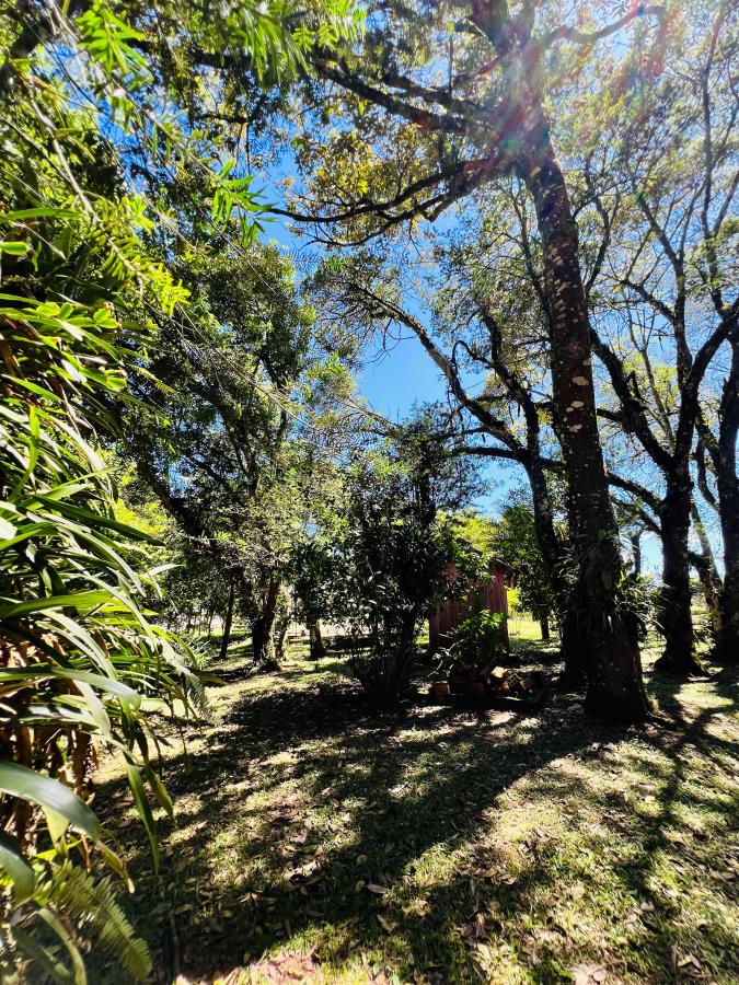 Fazenda à venda, 6000m² - Foto 31