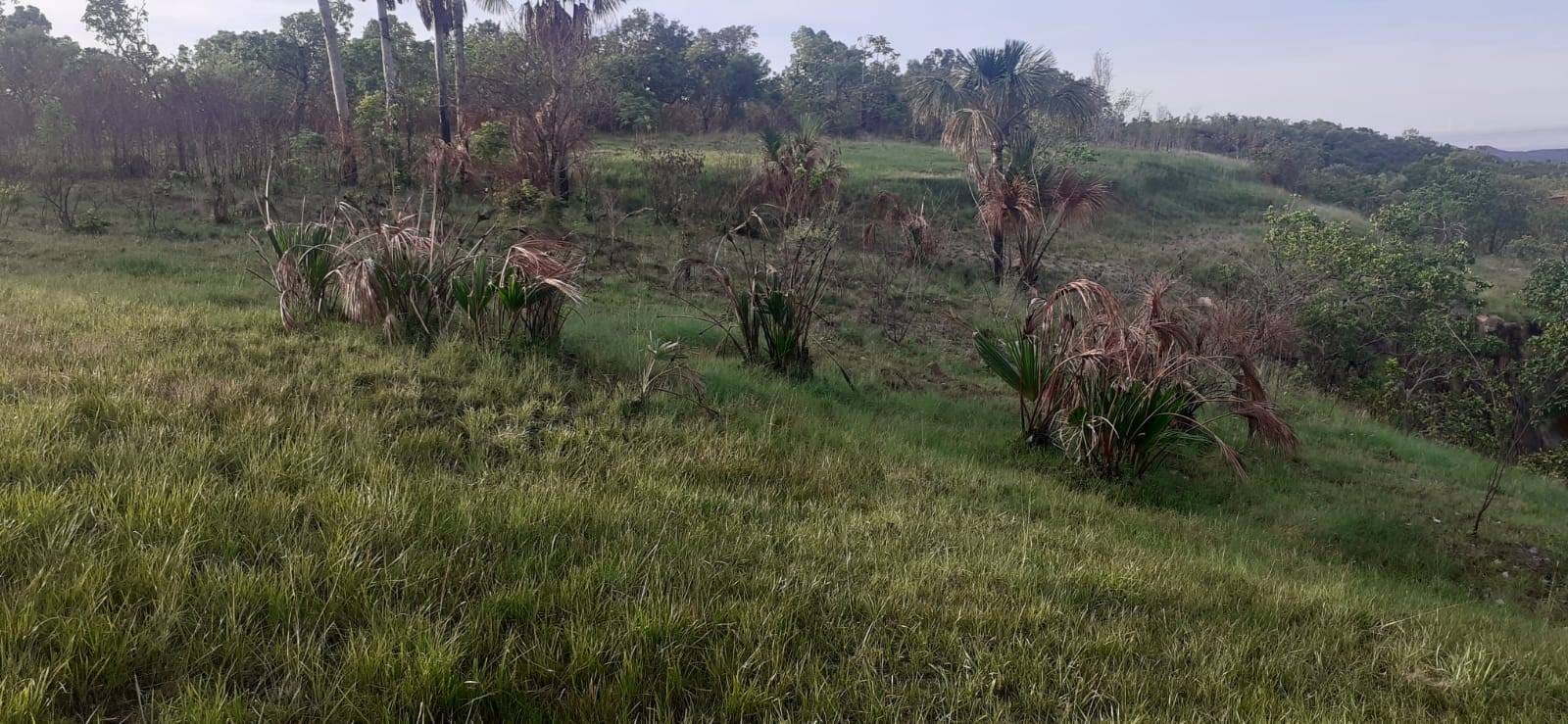 Fazenda à venda com 3 quartos, 10m² - Foto 22