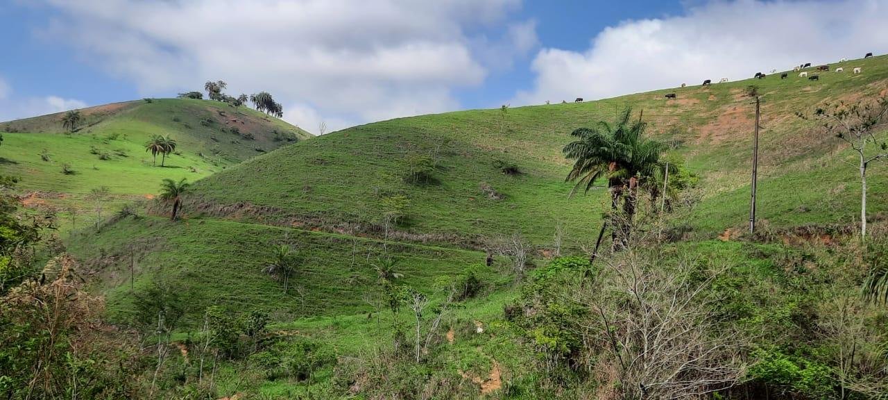 Fazenda à venda, 694m² - Foto 22