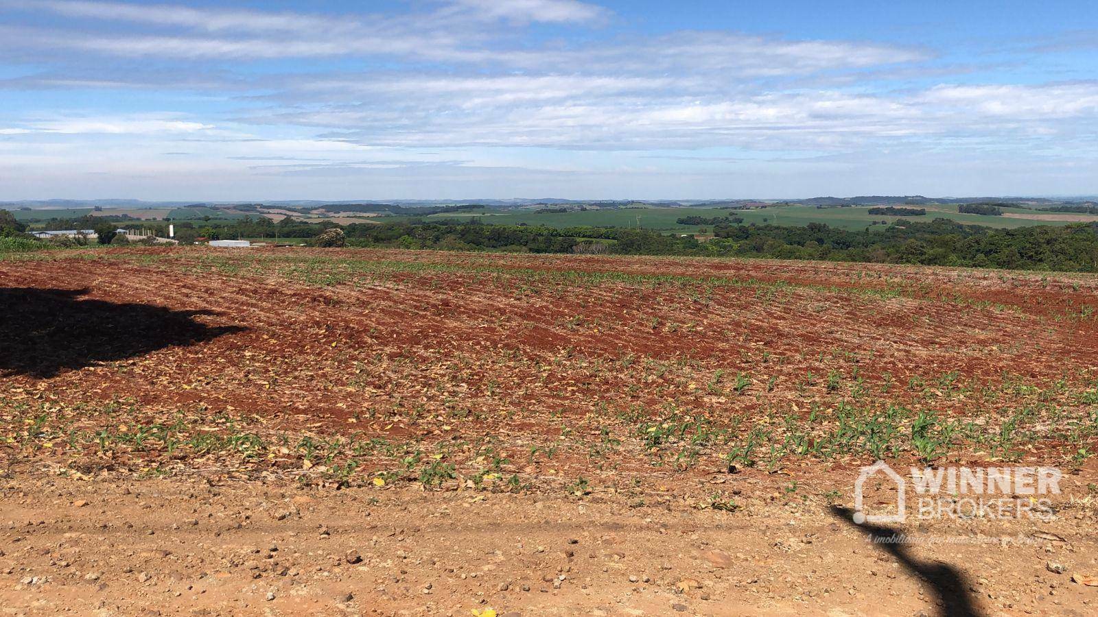 Terreno à venda, 1210000000M2 - Foto 5