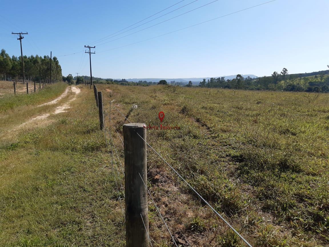 Fazenda à venda com 1 quarto, 24000m² - Foto 3