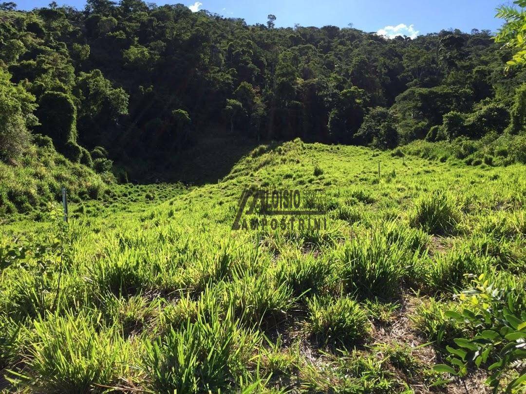 Fazenda à venda, 2420000M2 - Foto 29