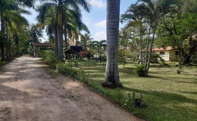 Sítio à venda com 4 quartos, 72000m² - Foto 3