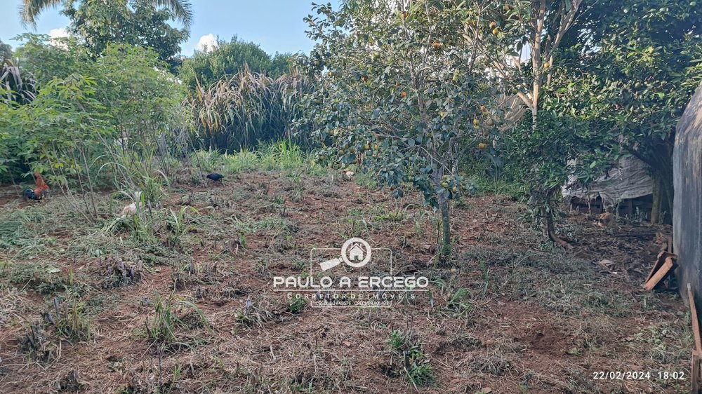 Casa, 2 quartos, 719 m² - Foto 20