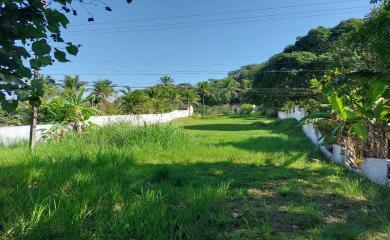 Fazenda à venda com 1 quarto, 1800m² - Foto 8