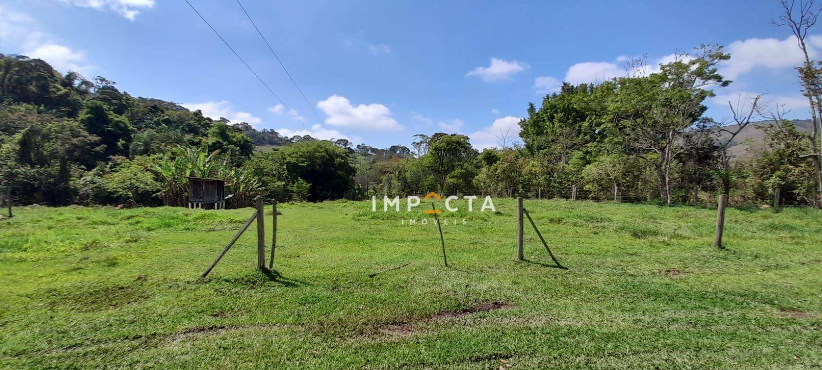 Chácara à venda com 3 quartos, 12000M2 - Foto 8