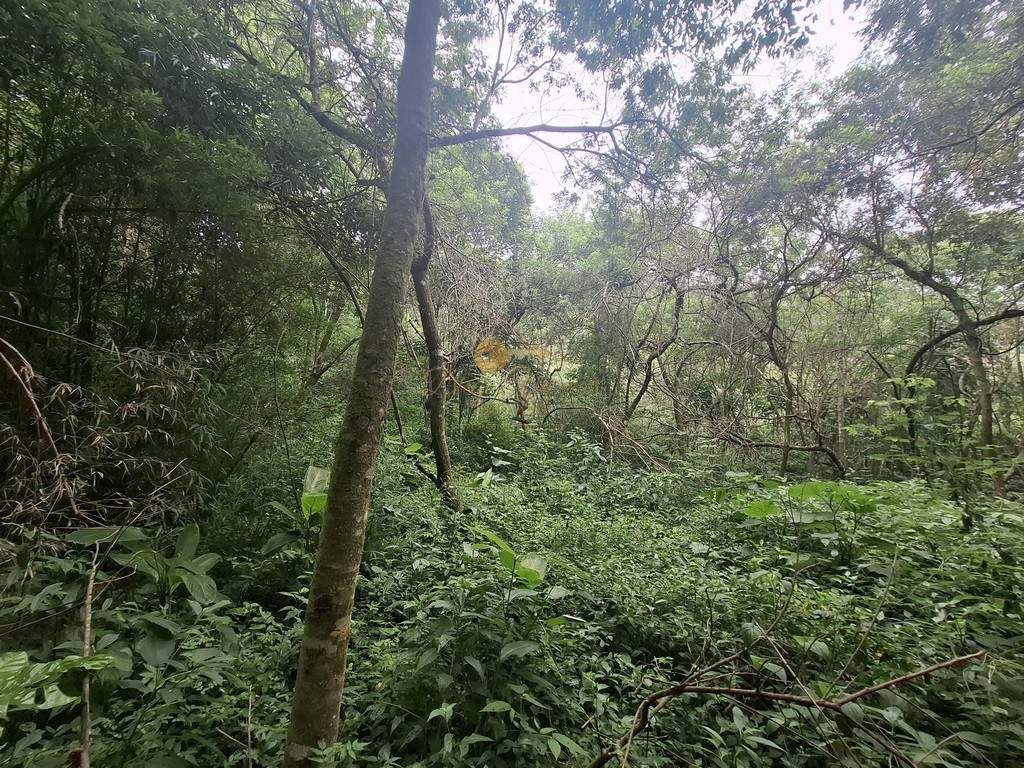 Terreno à venda, 216036m² - Foto 17