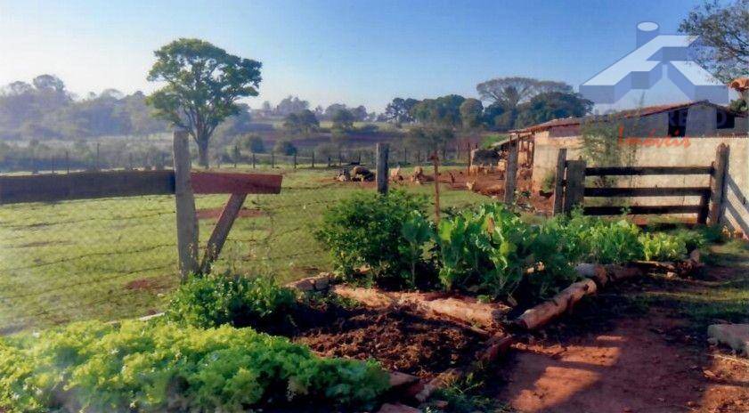 Sítio, 4 hectares - Foto 27