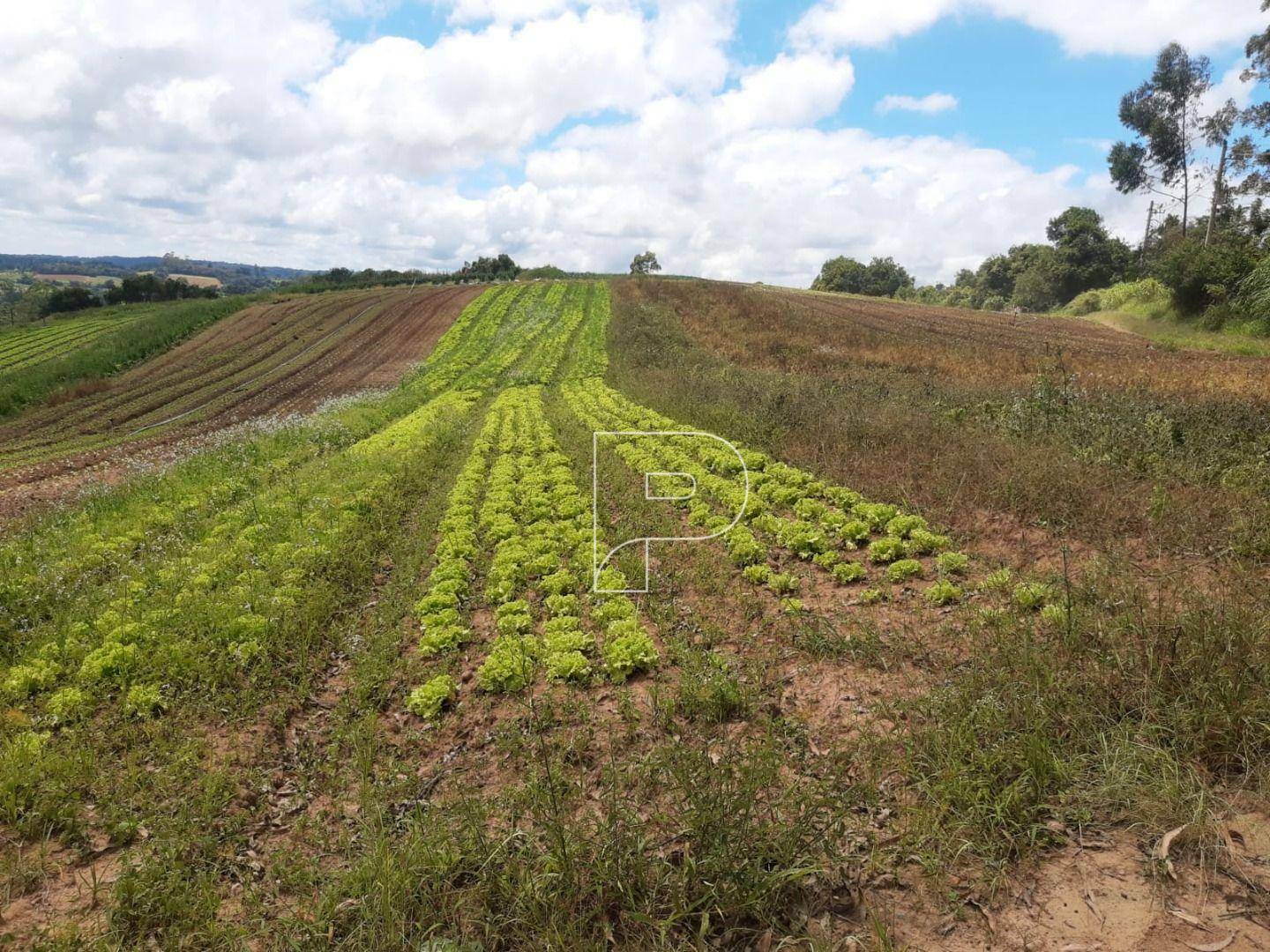 Terreno à venda, 39000M2 - Foto 22