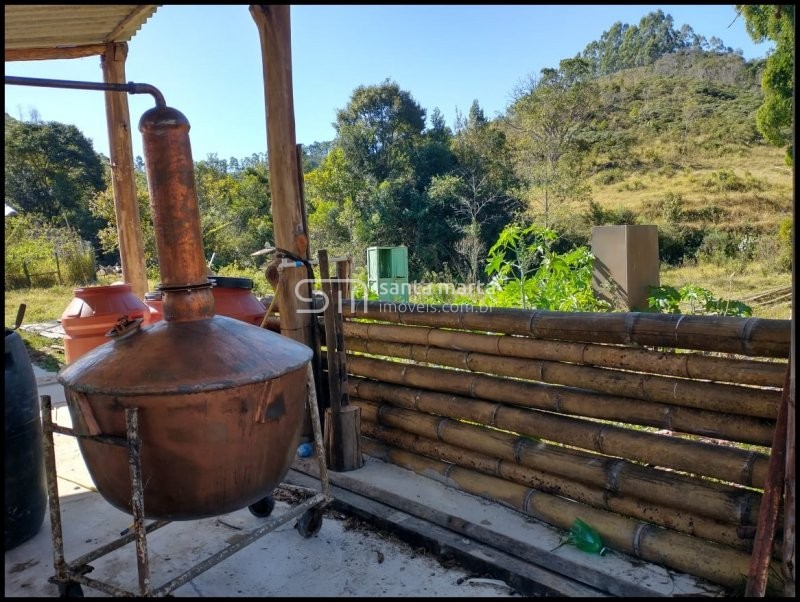 Fazenda-Sítio-Chácara, 116 hectares - Foto 3