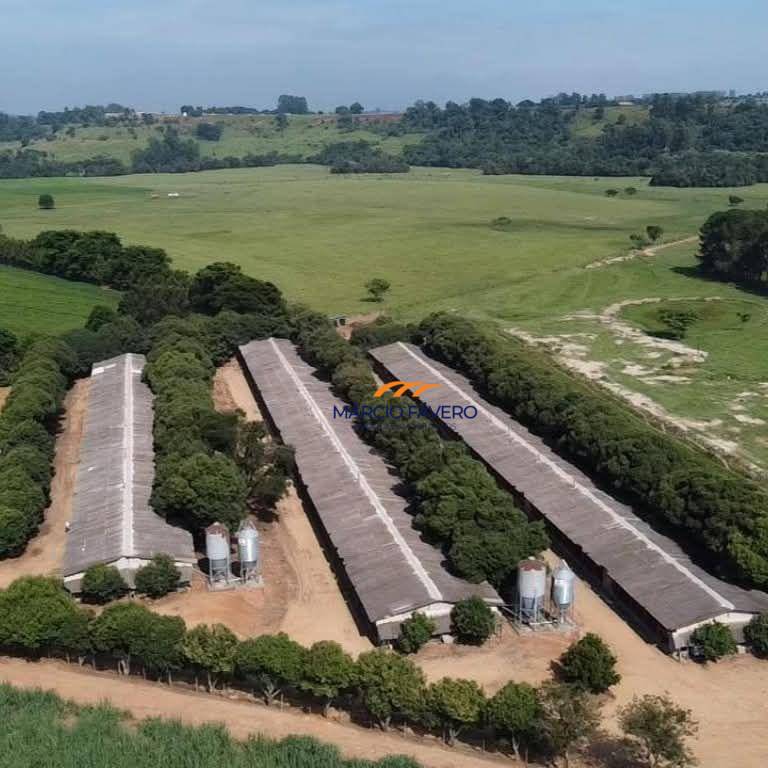 Sítio, 17 hectares - Foto 3