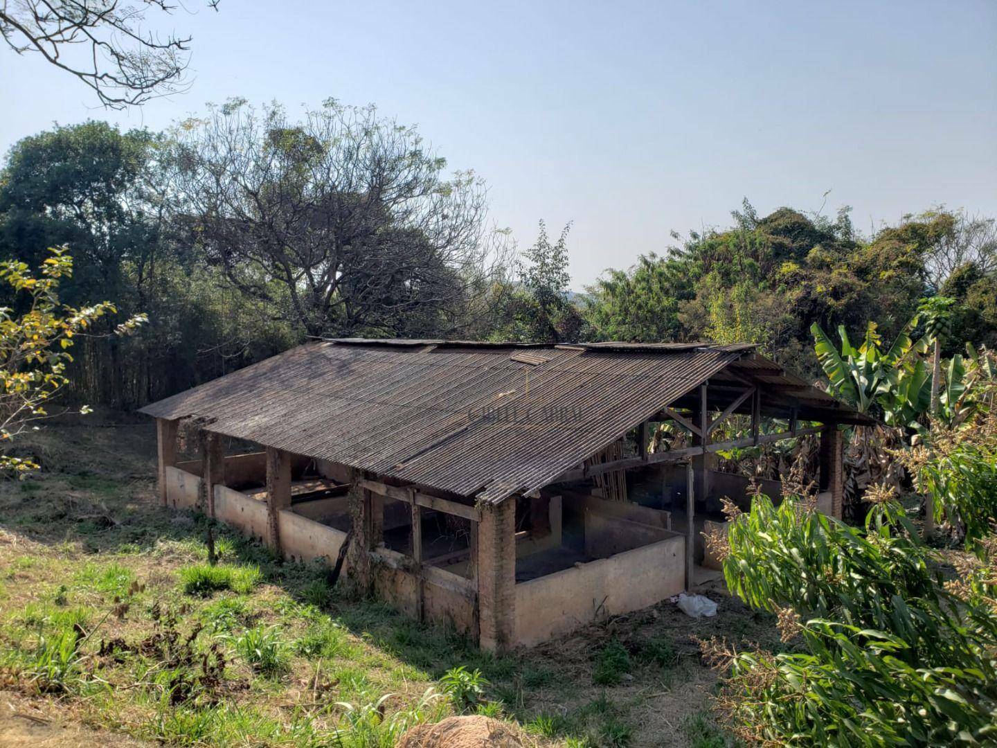 Terreno à venda, 5418M2 - Foto 3