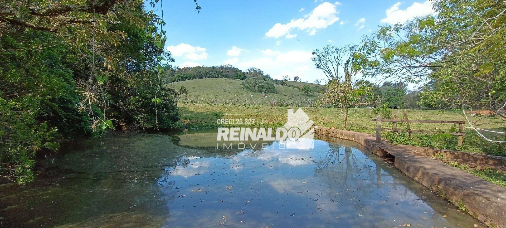 Haras e Área Rural Padrão à venda com 16 quartos, 2500m² - Foto 177