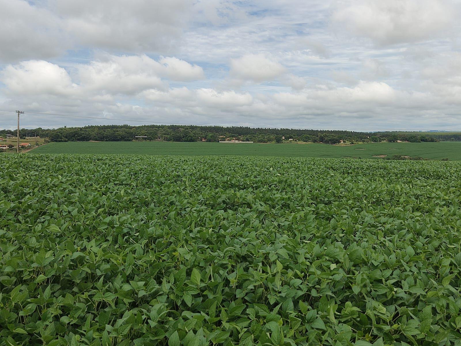 Fazenda à venda com 2 quartos, 3509000m² - Foto 5