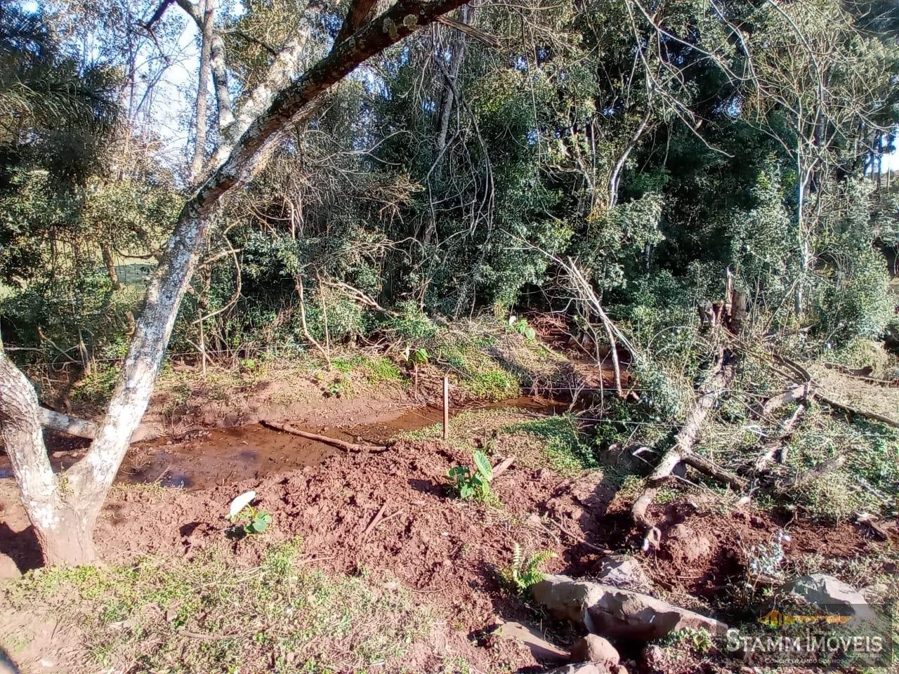 Fazenda à venda com 4 quartos, 3m² - Foto 34